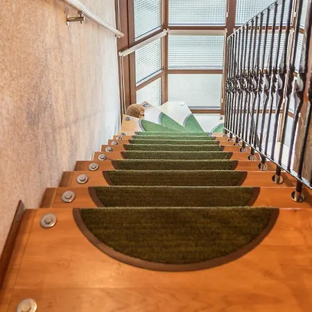 Haus Billi 아파트 *